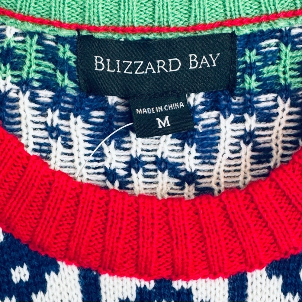 Blizzard Bay Men's Size M Christmas Dinosaur & Santa Sweater - Picture 4 of 6